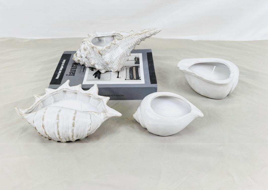 Tagann go leor foirmeacha i sealbhóirí candles. An bhfaca tú riamh ceann a bhí múnlaithe mar bhlaosc?